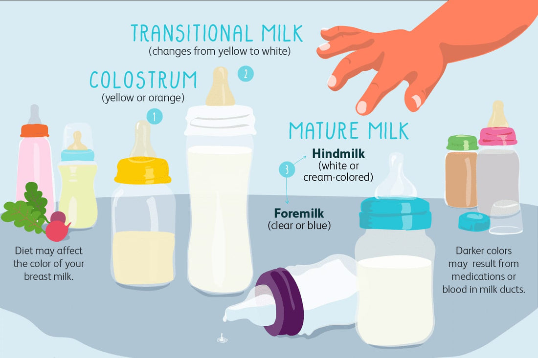 Colostrum - The Liquid Gold