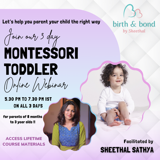 The Montessori Toddler Webinar